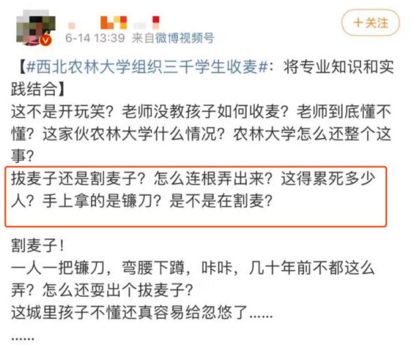 西北农林科技大学_西北农林科技大学_小麦收割常识