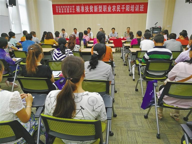 西北农林科技大学_西北农林科技大学猕猴桃种植技术_西北农林科技大学核桃树修剪培训
