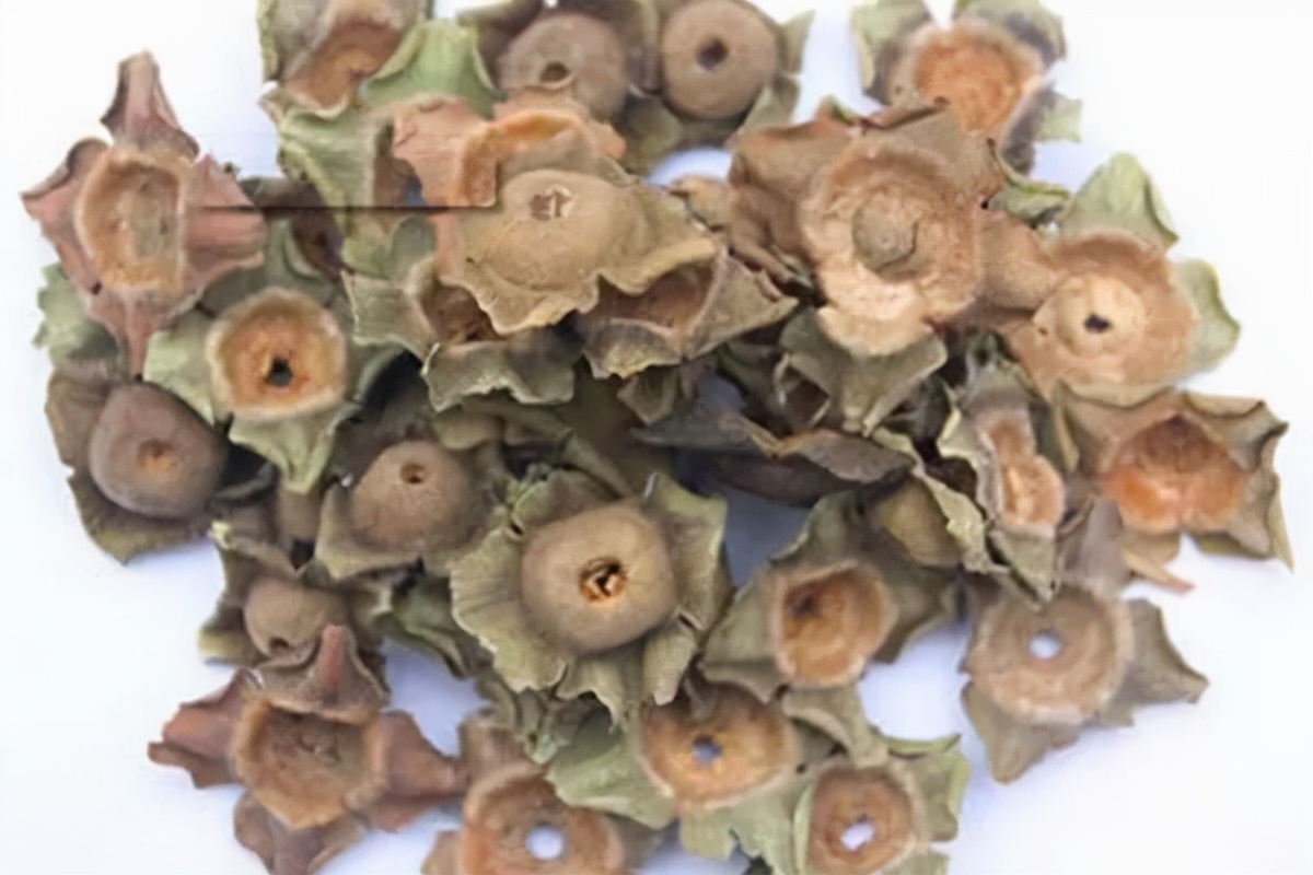 李师师避孕方法_古代青楼避孕术_避孕贴怎么贴