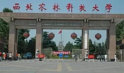西北农林科技大学与兰州大学985高校实力对比_西北农林科技大学_985高校教育实力评析
