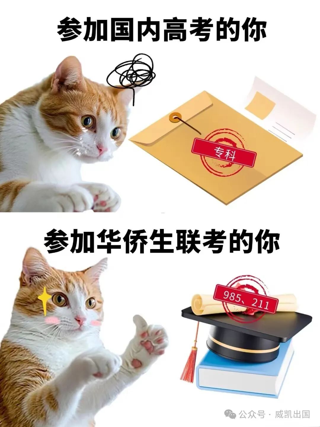 华侨生联考_2025年港澳台华侨生联考录取分数线_华侨生联考报名人数增长