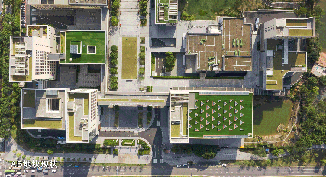 香港中文大学（深圳）二期建设_深圳高等教育国际化_香港中文大学（深圳）