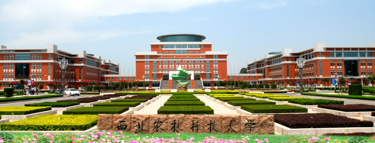 西北农林科技大学_985工程高校_西北农林科技大学