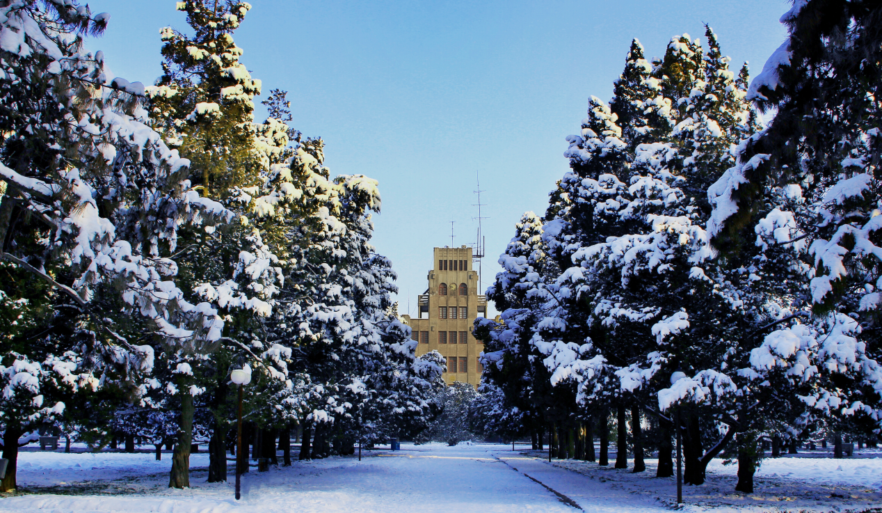 西北农林科技大学_西北农林科技大学_985工程高校