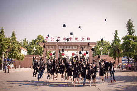 985工程高校_西北农林科技大学_西北农林科技大学