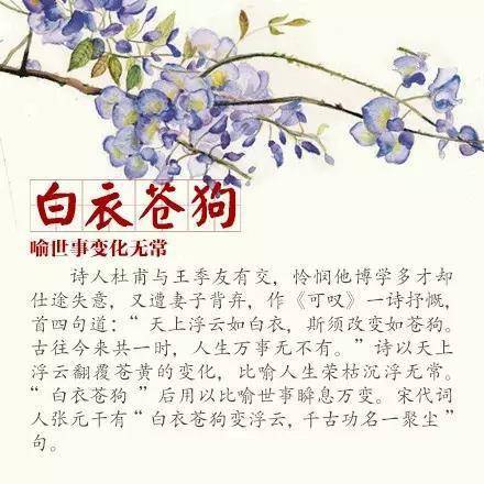 小学生成语积累方法_中国古代文学典故_小学语文成语基础学习