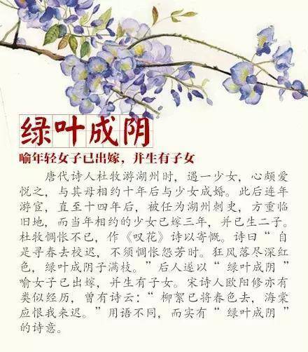 小学生成语积累方法_中国古代文学典故_小学语文成语基础学习