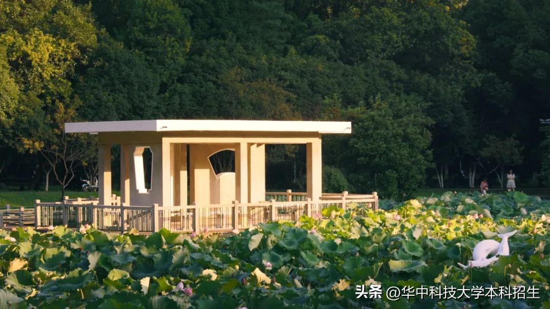 华中科技大学招生咨询 _ 分数优先录取原则 _华中科技大学 传播学