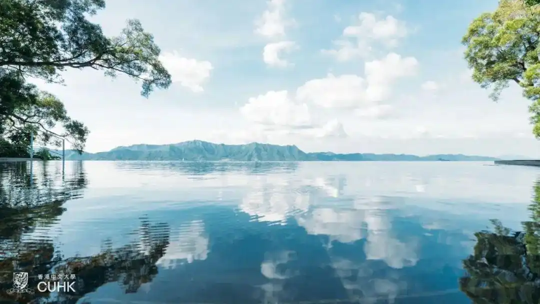 香港中文大学(深圳)国际化人才培养_粤港澳大湾区双轨制高校_香港中文大学(深圳)