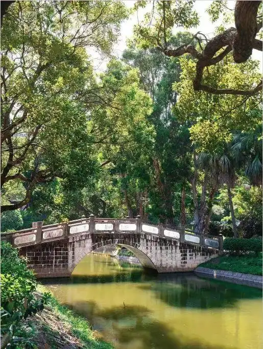 粤港澳大湾区双轨制高校_香港中文大学(深圳)国际化人才培养_香港中文大学(深圳)