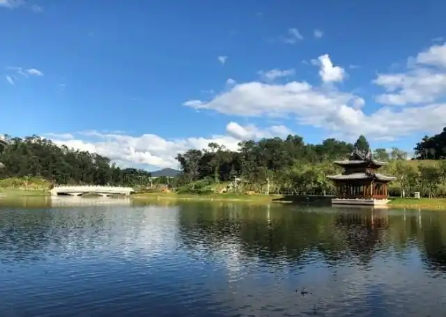 深圳北理莫斯科大学_中外合作大学人才培养_深圳北理莫斯科大学一本高校