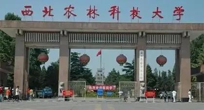 中国农业大学与西北农林科技大学比较_西北农林科技大学_985农业大学实力对比