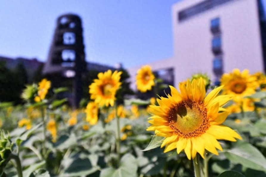 北京师范大学学生_北京师范大学大学生活体验_北师大校园生活设施