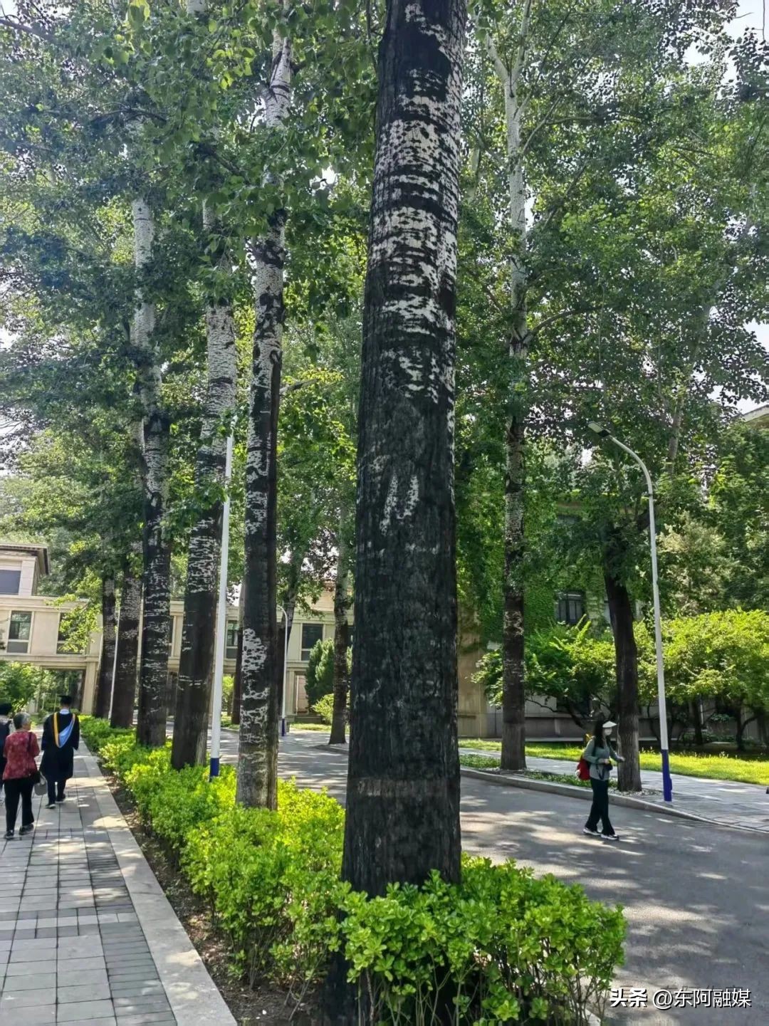 北京航空航天大学毕业典礼_北航集成电路科学与工程学院_北京航空航天大学毕业