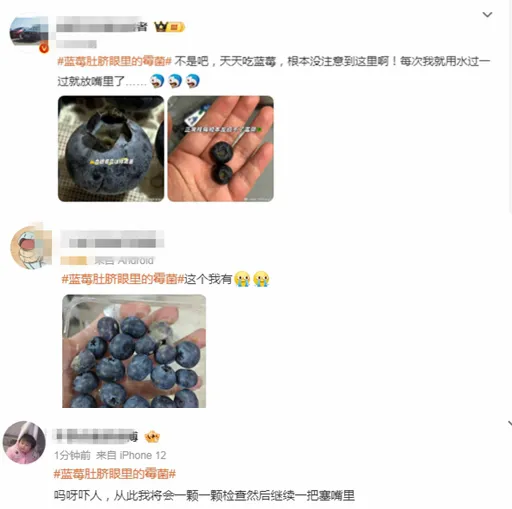 石榴真的可以抗老么_我可以吃很多的石榴去抗衰老吗_
