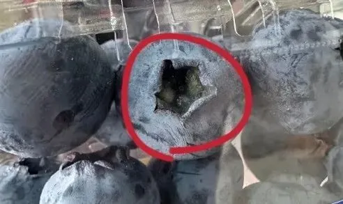 我可以吃很多的石榴去抗衰老吗__石榴真的可以抗老么