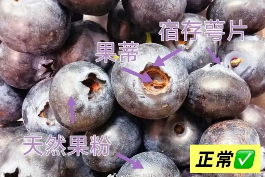 _我可以吃很多的石榴去抗衰老吗_石榴真的可以抗老么