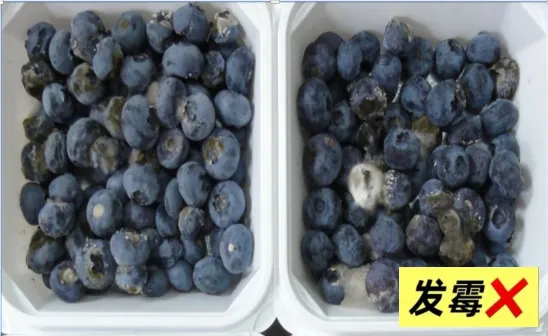 _石榴真的可以抗老么_我可以吃很多的石榴去抗衰老吗