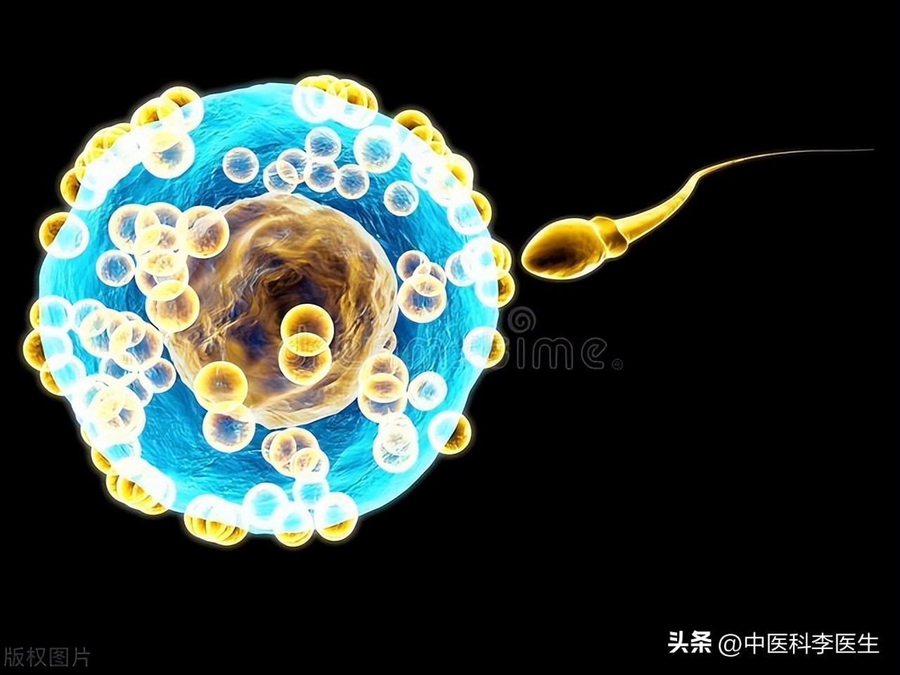 避孕套与药物避孕对比_避孕方法比较_避孕贴