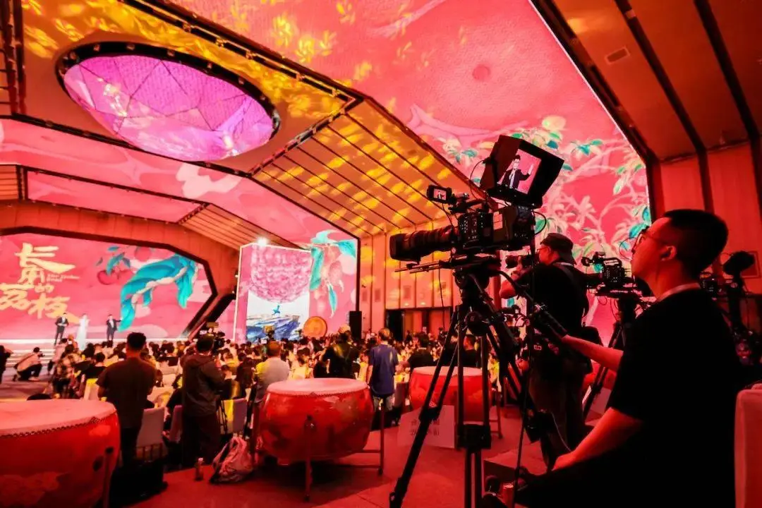 讯道直播机_2025暑期档电影片单发布会_佳能EOS C400电影机直播解决方案