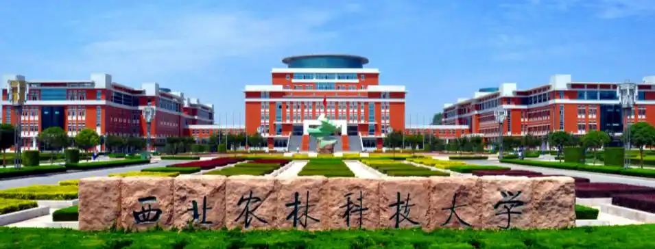 西北农林科技大学_ 低分上名校 西农逆袭密码 _西北农林科技大学 985性价比之王 