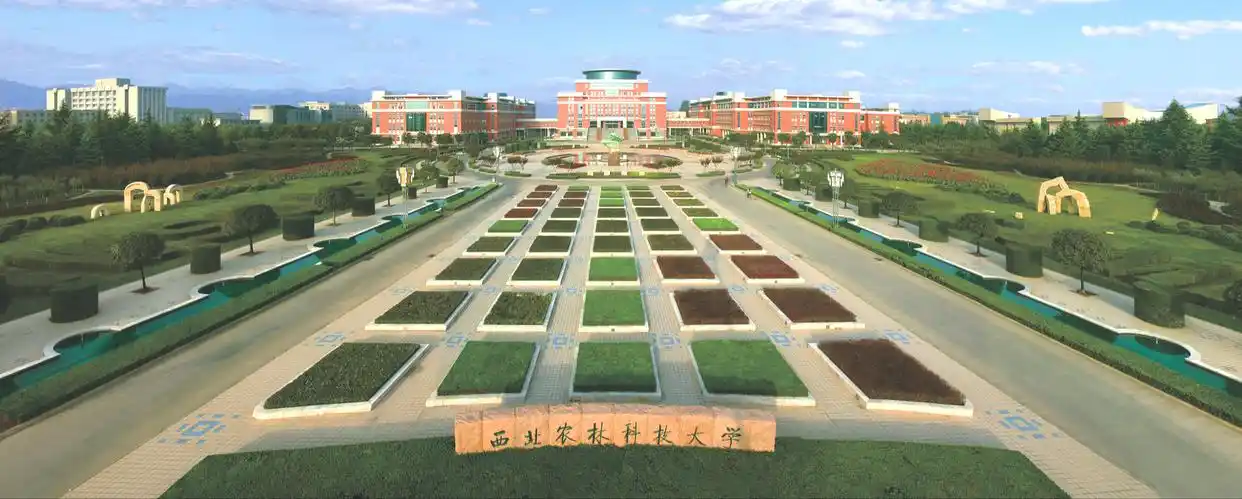 西北农林科技大学_西北农林科技大学 985性价比之王 _ 低分上名校 西农逆袭密码 