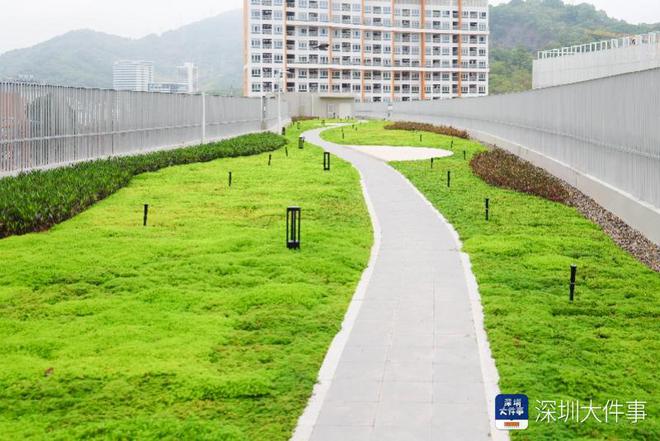 一流大学附中教育模式_香港中文大学深圳校区_香港中文大学(深圳)附属明德高级中学