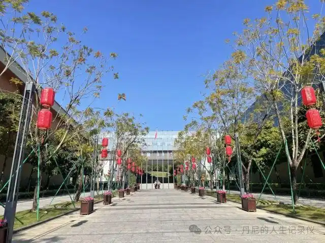 香港中文大学(深圳)_软科中国大学专业排名_香港中文大学（深圳）中外合作办学项目