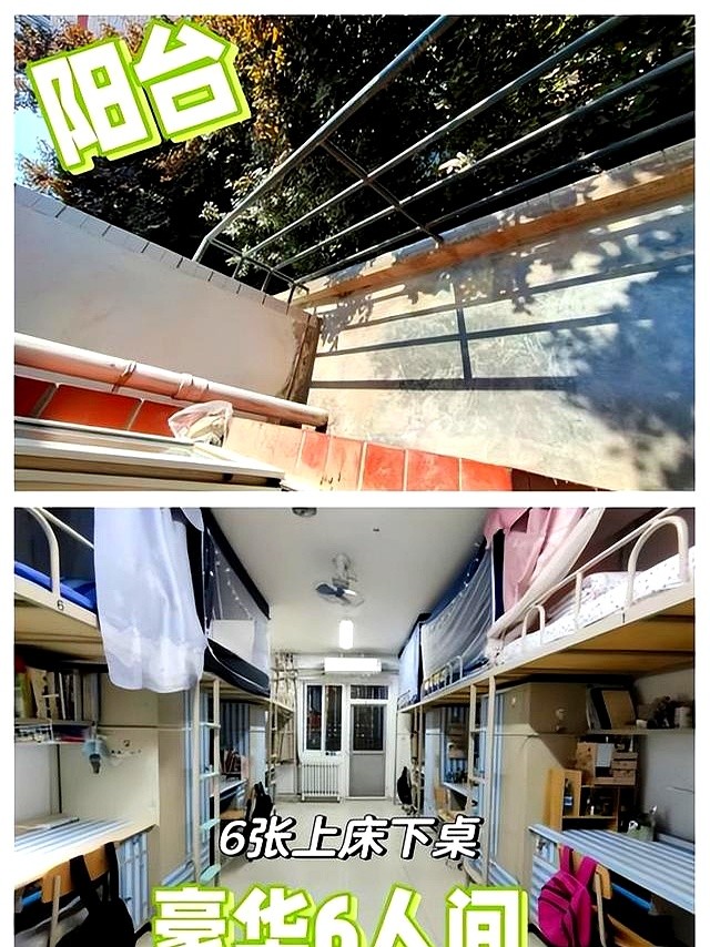 西北农林科技大学2025学费清单_西北农林科技大学_艺术生学费翻倍