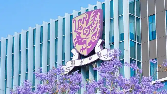 香港中文大学(深圳)MBM项目_管理学理学硕士招生条件_香港中文大学深圳