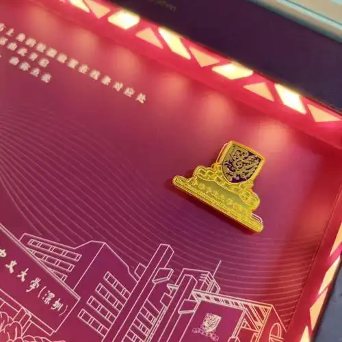 广东省一流研究型大学_香港中文大学(深圳)录取分数线_香港中文大学深圳