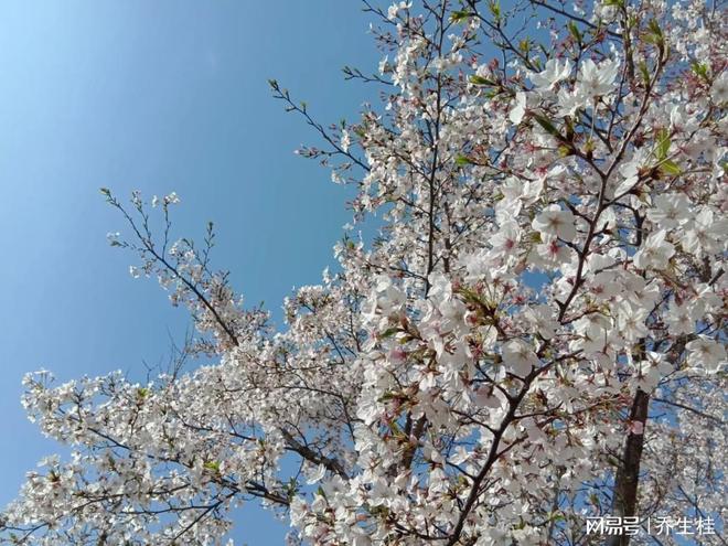 二次创业成功还债_创业失败就分手_女友辞职创业投资失败