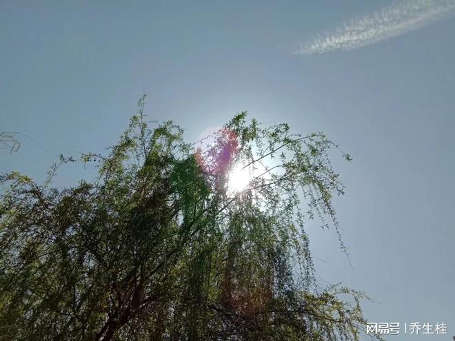 女友辞职创业投资失败_创业失败就分手_二次创业成功还债