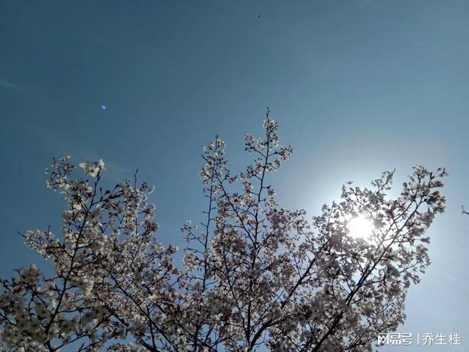 二次创业成功还债_女友辞职创业投资失败_创业失败就分手