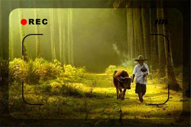 30岁创业失败负债累累_创业失败者心理疏导_年关创业压力应对