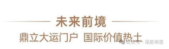 香港中文大学深圳_中文香港大学深圳怎么样_香港大学中文系深圳校区