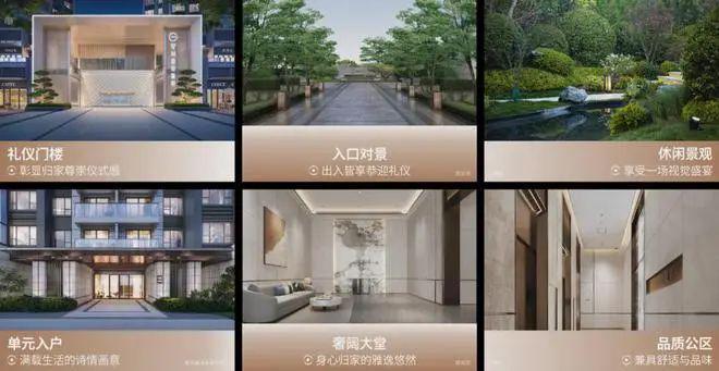 香港大学中文系深圳校区_中文香港大学深圳怎么样_香港中文大学深圳