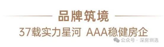 香港中文大学深圳_香港大学中文系深圳校区_中文香港大学深圳怎么样