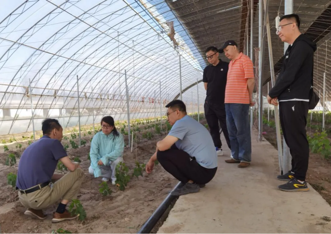 路灯安装过程_大路灯安装_路灯安装大门东好不好