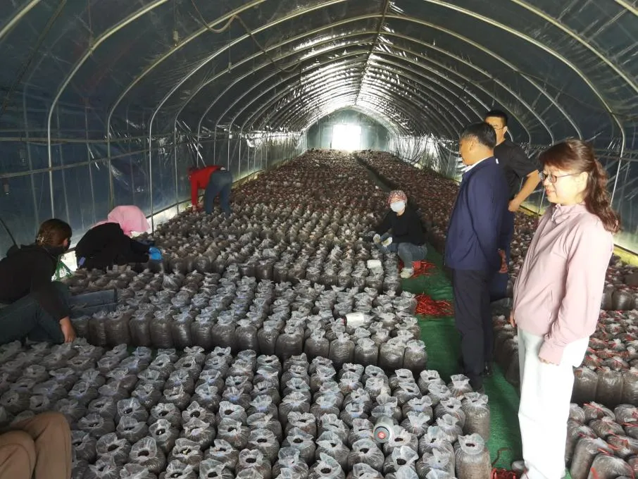 路灯安装大门东好不好_路灯安装过程_大路灯安装