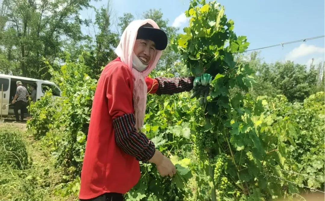 路灯安装大门东好不好_大路灯安装_路灯安装过程