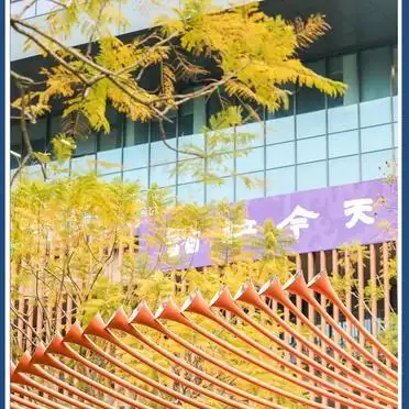 香港中文大学深圳校区攻略_港中文深圳校区参观指南_香港中文大学深圳校区