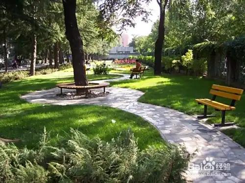 北外就业方向分析_北京外国语大学专业排名_北京外国语学院毕业