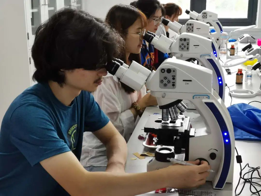 深圳北理莫斯科大学材料科学与工程专业_材料科学与工程专业就业前景_深圳北理莫斯科大学