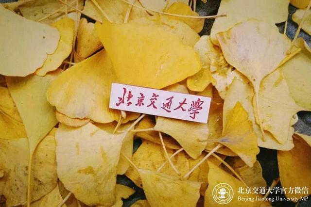 北京交通大学2020年招生章程_北京交通大学本科招生专业_北京交通大学毕业