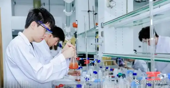 深圳北理莫斯科大学_中外合作办学高校资金投入_深圳北理莫斯科大学公办属性