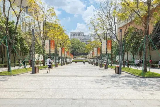  香港中文大学（深圳）学科优势 _香港中文大学深圳_粤港澳大湾区高校国际化 