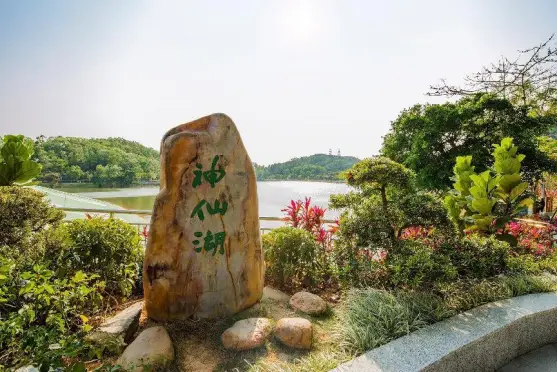  香港中文大学（深圳）学科优势 _香港中文大学深圳_粤港澳大湾区高校国际化 