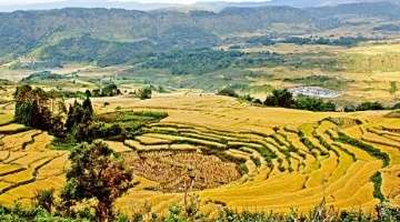 破壁机与豆浆机区别_原汁机 破壁机_轻音破壁机选购心得