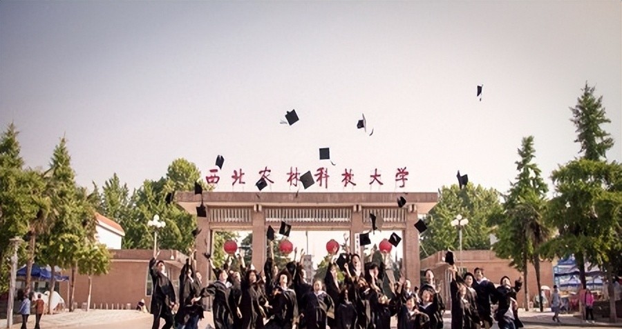 西北农林科技大学_西北农林分数线捡漏_西北农林科技大学985